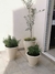 Flower Pot Set