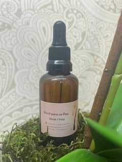 Blend para cabelos Secos e com Frizz - Vanessa Saúde Capilar