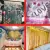 Kit 2 Unid Cortina Metalizada Festa Franja Decoração Festa - Loja Virtual Aliança