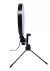 Ring Light De Mesa Iluminador De Led Tripé 6 Polegadas 16cm - Loja Virtual Aliança