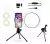 Ring Light 6 Polegadas De Mesa Com Suporte De Celular - comprar online