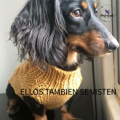Banner de la categoría PERROS.
