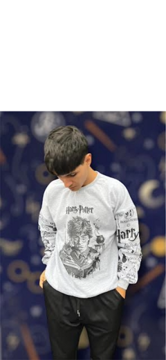 Over Harry potter - comprar online