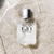 ACQUA DI GIO EAU DE TOILETTE - La Luna Perfumaria