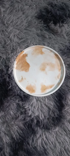 Bandeja redonda