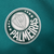 Camisa-Palmeiras-Treino-23_24-Torcedor-Puma-Masculina-Verde-masculino-verdão-veiga-gola-redonda-2023-2024-treinar-original-oficial-campeao-brasileirao-libertadores-pal-estilo-time-esportiva-branca-branco-libertadores