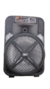 Parlante 12" SP1541 5A Mercury | Oryx