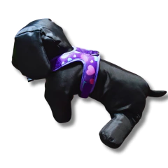 Pechera de Paseo Corazones - comprar online