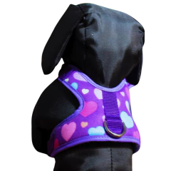 Pechera de Paseo Corazones - Consentidos The Pets Boutique