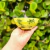 Ceramic Watermelon Plate/Bowl - online store