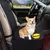 Imagen de Protector impermeable para asiento de coche para mascotas
