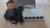 Switch fast ethernet de 5 puertos 10/100mbps Steren (modelo SWI-005) - comprar en línea