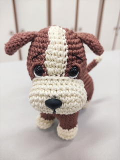 Cachorro na internet
