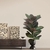 Planta artificial tropical, folhas de Banyan, para casa, jardim, escritório, loja, decoração em geral na internet