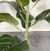 Plantas Artificiais De Grande Árvore De Ficus, Folhas De Banyan na internet