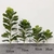 Plantas Artificiais De Grande Árvore De Ficus, Folhas De Banyan - Float Decorações