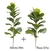 Plantas Artificiais De Grande Árvore De Ficus, Folhas De Banyan