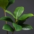 Grandes plantas artificiais para decoração de casa, alto verde luxuoso na internet