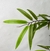 Planta artificial de bambu verde, realista. na internet