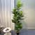 Plantas Artificiais De Grande Árvore De Ficus, Folhas De Banyan