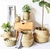 Cestas de vime, Algas Marinhas, vime de palha, cesto vaso de planta - comprar online