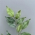 Plantas artificiais de ficus, folhas banyan, planta alta qualidade. - Float Decorações