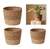 Cesta de plantas de palha, vasos de plantas