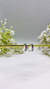 Argola Cris colors - P