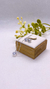 Conjunto ponto de luz - comprar online