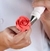 Set de clavos para flores 2 pcs - comprar online