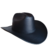 Sombrero Vaquero Americano, Negro en internet