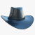 Sombrero Vaquero Negro Cowboy en internet