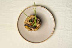RISOTTO CON MIX DE HONGOS Y VEGETALES AHUMADOS