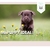 Masterclass: Mi puppy ideal