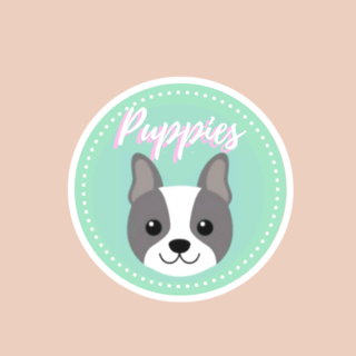 Puppies
