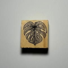 Botánica 04