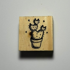 Botánica 11