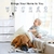 Mini Camera Robô Ip Wifi Hd Babá Pet Onvif Sensor Movimento Automatico - IP CAMERA - comprar online