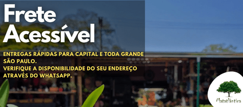 Carrossel 1