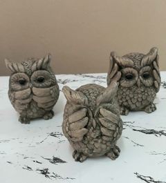 SET DE BUHOS SABIOS
