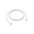 Apple Cable trenzado de carga USB-C (1 m)