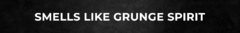 Banner da categoria Smells Like Grunge Spirit