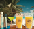 Bebidas