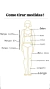 Ilustração explicativa sobre como tirar medidas corporais, com anotações sobre diferentes áreas como ombro, busto, cintura, quadril e comprimento de roupas.
