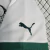 Camisa Palmeiras II 2023 na internet