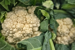 Banner de la categoría Coliflor