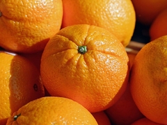 Banner de la categoría Naranja