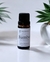 Essência Concentrada Bambu 10ml - Linha Zen