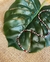 Chocker Morango Cristal na internet