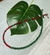 Chocker Malaquita com Cristais Vermelhos